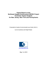 Expert Report on the Northeast Supply Enhancement (NESE) Project Economic Impact Analysis for New Jersey, New York and Pennsylvania.